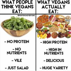 vegan food.jpg